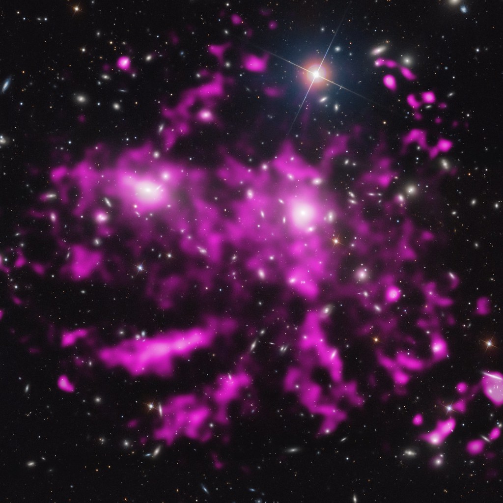 Clues to the Growth of the Colossus in Coma (NASA, Chandra, 09/19/13)